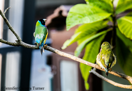 nature-garden-photography-15