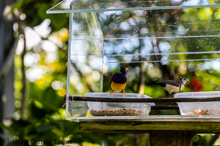 nature-garden-photography-17