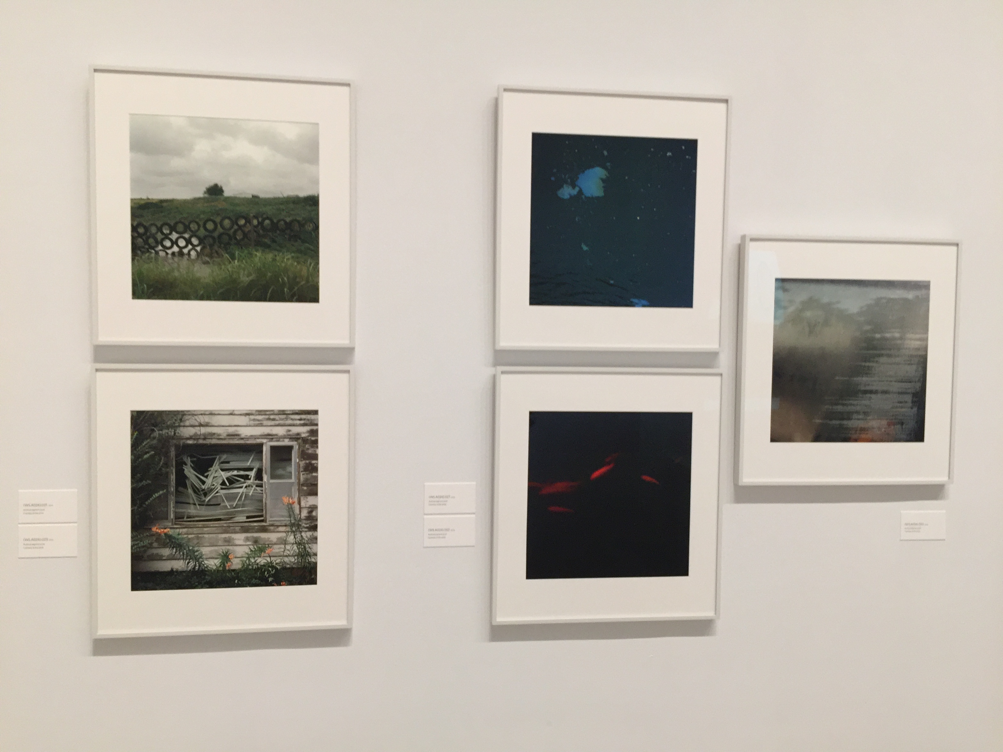 Rudin Prize Exhibit / Norton Museum of Art