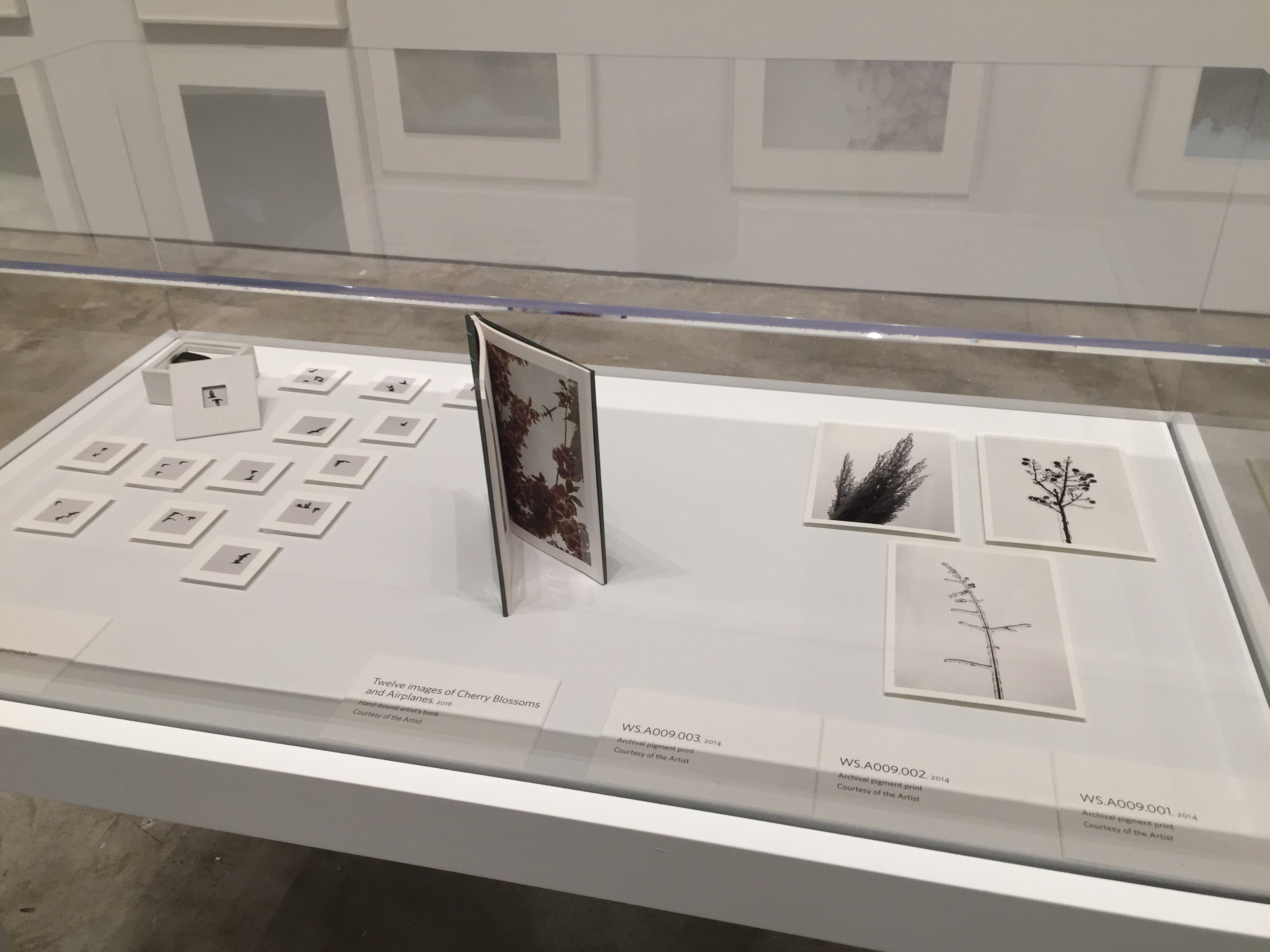 Rudin Prize Exhibit / Norton Museum of Art